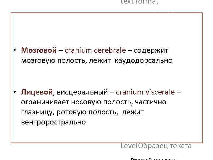 text format Second Outline Level Third Outline Level • Мозговой – cranium cerebrale –