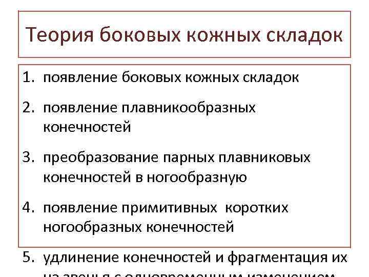 Теория боковых кожных складок 1. появление боковых кожных складок 2. появление плавникообразных конечностей 3.