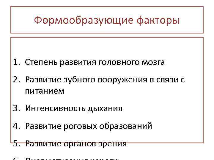 Формообразующие факторы 1. Степень развития головного мозга 2. Развитие зубного вооружения в связи с