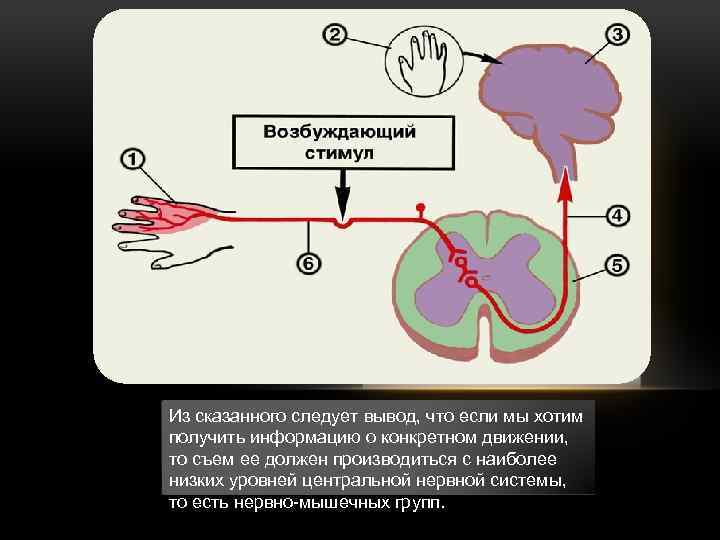 Из сказанного следует вывод, что если мы хотим получить информацию о конкретном движении, то