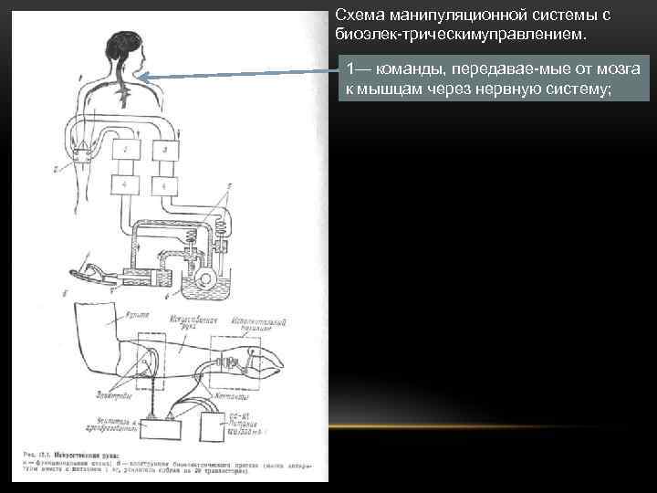 Схема манипуляционной системы с биоэлек трическим правлением. у 1— команды, передавае мые от мозга