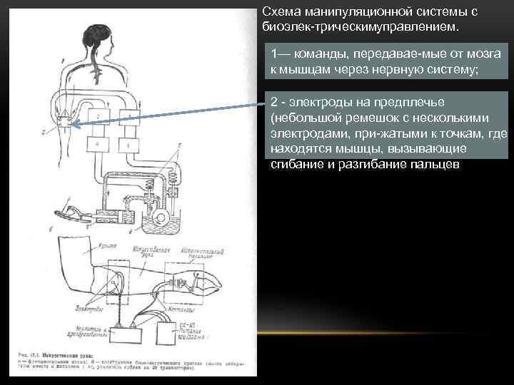 Схема манипуляционной системы с биоэлек трическим правлением. у 1— команды, передавае мые от мозга