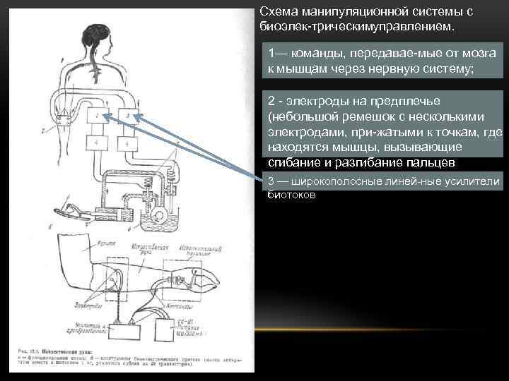 Схема манипуляционной системы с биоэлек трическим правлением. у 1— команды, передавае мые от мозга