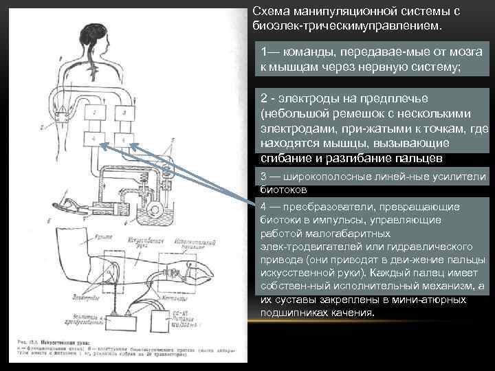 Схема манипуляционной системы с биоэлек трическим правлением. у 1— команды, передавае мые от мозга