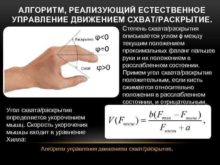 АЛГОРИТМ, РЕАЛИЗУЮЩИЙ ЕСТЕСТВЕННОЕ УПРАВЛЕНИЕ ДВИЖЕНИЕМ СХВАТ/РАСКРЫТИЕ. Степень схвата/раскрытия описывается углом ϕ между текущим положением