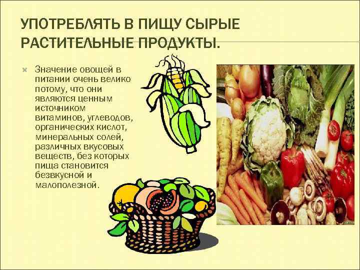 УПОТРЕБЛЯТЬ В ПИЩУ СЫРЫЕ РАСТИТЕЛЬНЫЕ ПРОДУКТЫ. Значение овощей в питании очень велико потому, что