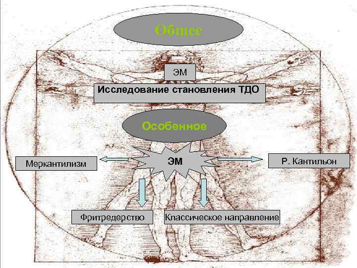 Общее ЭМ Исследование становления ТДО Особенное Меркантилизм Фритредерство ЭМ Классическое направление Р. Кантильон 