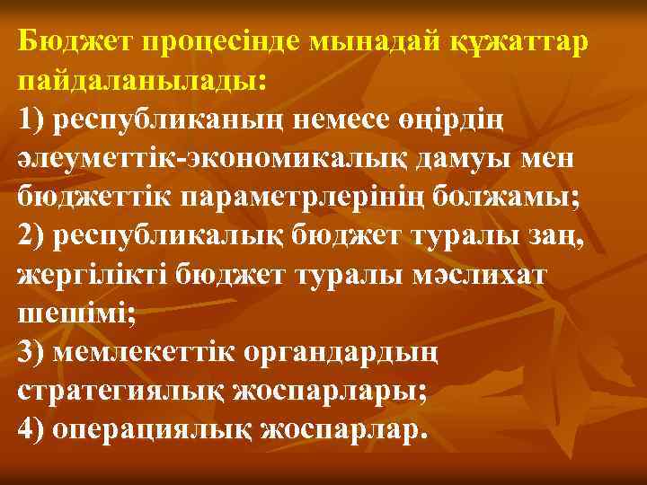 Бюджет процесінде мынадай құжаттар пайдаланылады: 1) республиканың немесе өңірдің әлеуметтік-экономикалық дамуы мен бюджеттік параметрлерінің