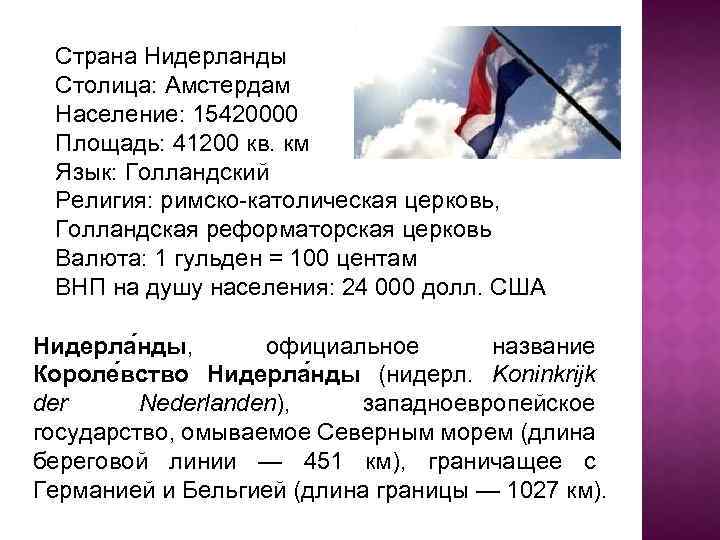 Нидерландский язык на какой похож. Государственный язык Нидерландов. Голландия язык официальный. Нидерланды язык населения. Нидерланды площадь и население.