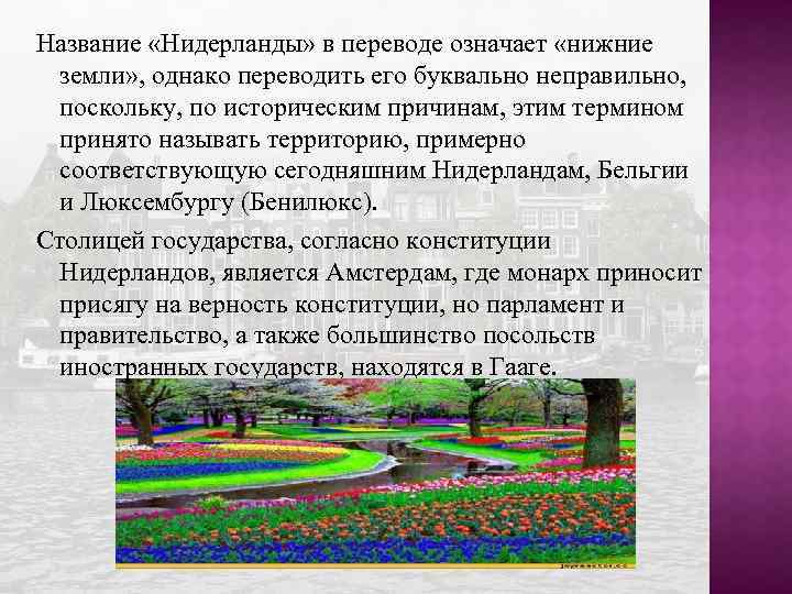 Перевод на нидерландский. Нидерланды перевод. Нидерланды почему Голландия. Почему Нидерланды это нижние земли.