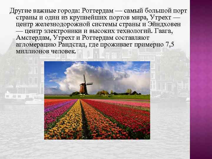 Другие важные города: Роттердам — самый большой порт страны и один из крупнейших портов