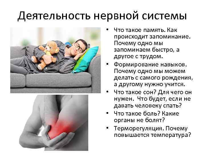 Деятельность нервной системы • Что такое память. Как происходит запоминание. Почему одно мы запоминаем