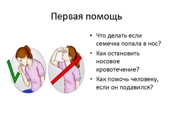 Первая помощь • Что делать если семечка попала в нос? • Как остановить носовое