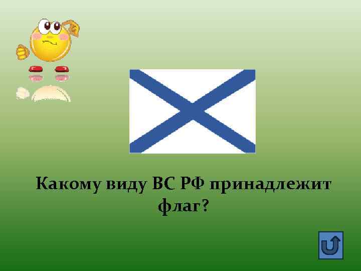 Какому виду ВС РФ принадлежит флаг? 