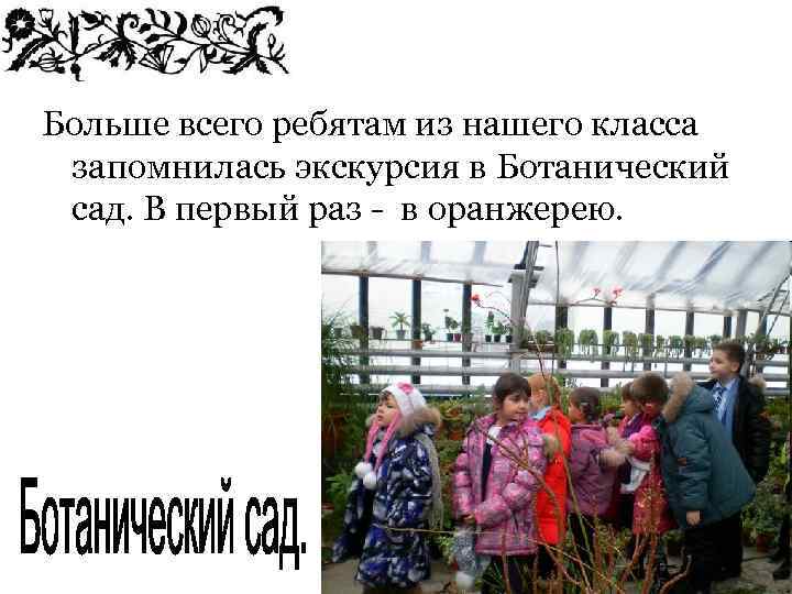 Больше всего ребятам из нашего класса запомнилась экскурсия в Ботанический сад. В первый раз