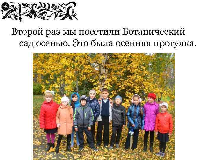 Второй раз мы посетили Ботанический сад осенью. Это была осенняя прогулка. 