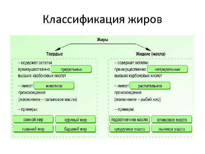 Классификация жиров 