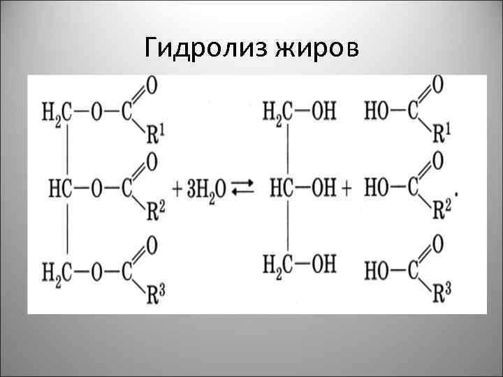 Гидролиз жиров 