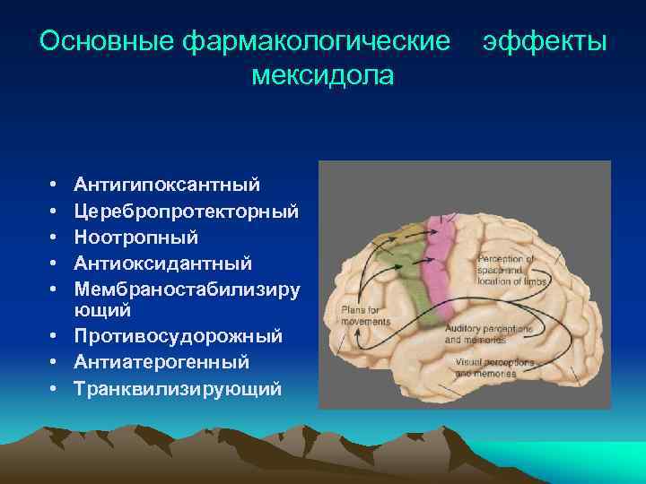 Основные фармакологические эффекты мексидола • • • Антигипоксантный Церебропротекторный Ноотропный Антиоксидантный Мембраностабилизиру ющий •