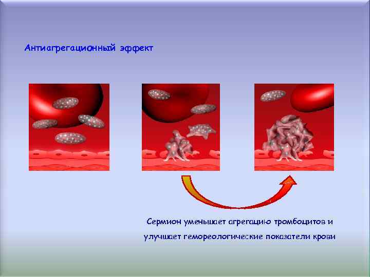Антиагрегационный эффект Сермион уменьшает агрегацию тромбоцитов и улучшает гемореологические показатели крови 