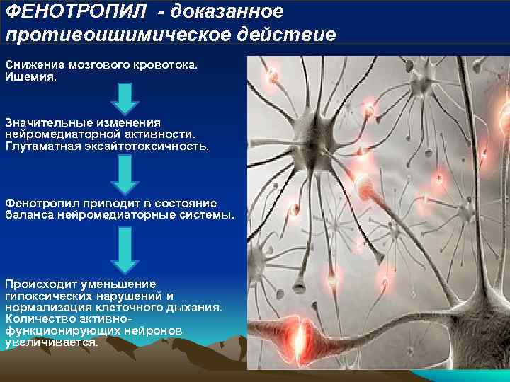 ФЕНОТРОПИЛ - доказанное противоишимическое действие Снижение мозгового кровотока. Ишемия. Значительные изменения нейромедиаторной активности. Глутаматная