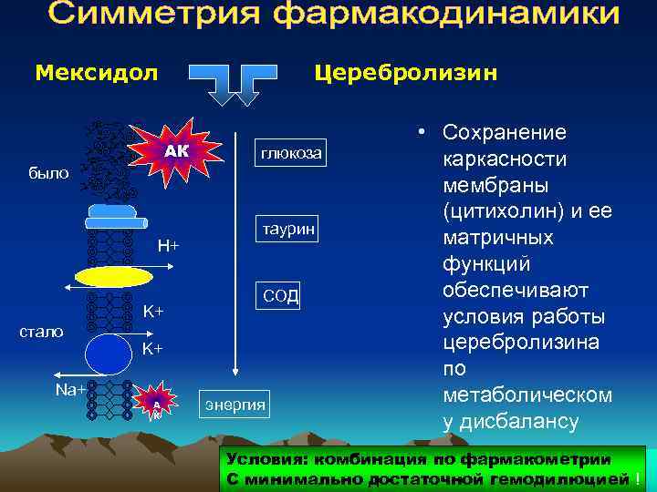 Мексидол Церебролизин АК глюкоза было H+ K+ стало Na+ таурин СОД K+ А К