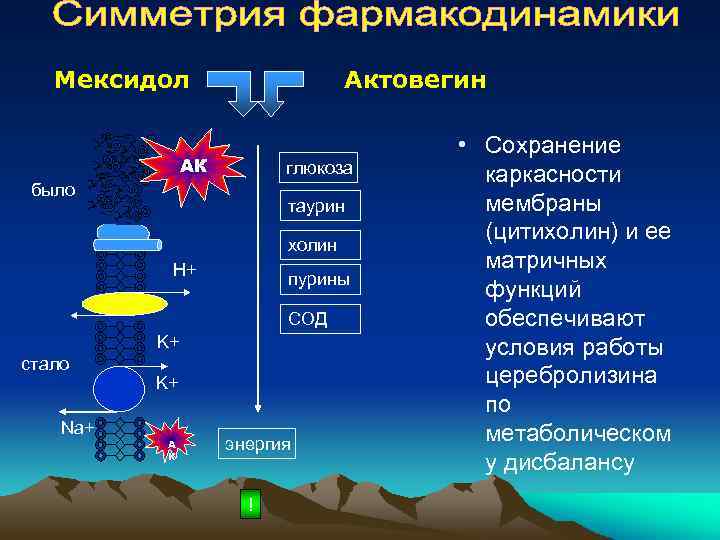 Мексидол Актовегин АК глюкоза было таурин холин H+ пурины СОД K+ стало Na+ K+