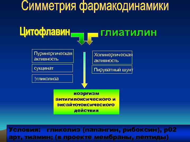 Пуринергическая активность Холинергическая активность сукцинат Пируватный шунт ↑гликолиза коэргизм антигипоксического и эксайтотоксического действия Условия: