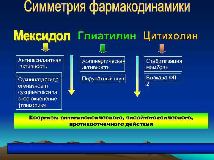Антиоксидантная активность Холинергическая активность Стабилизация мембран Сукцинатдегидр огеназное и сукцинатоксила зное окисление ↑гликолиза Пируватный