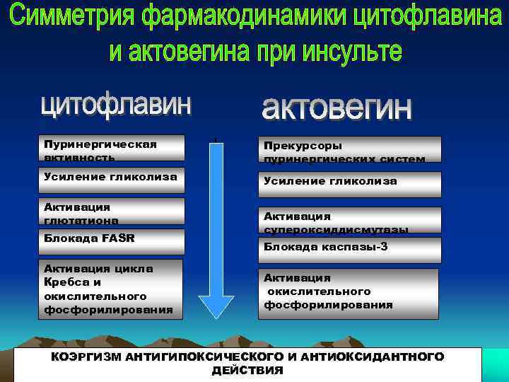 Пуринергическая активность Прекурсоры пуринергических систем Усиление гликолиза Активация глютатиона Блокада FASR Активация цикла Кребса