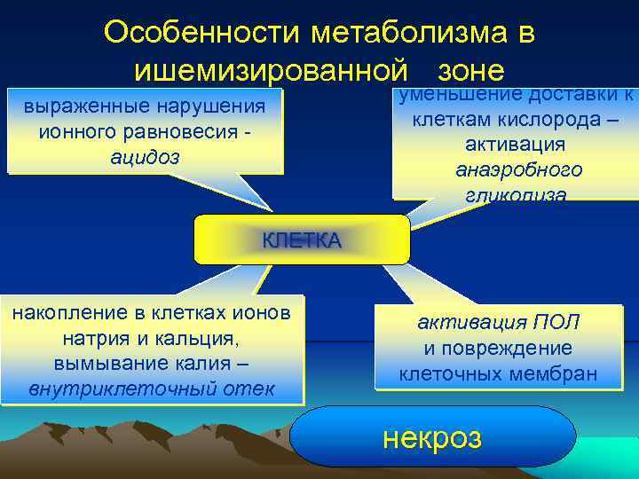 Особенности метаболизма в ишемизированной зоне выраженные нарушения ионного равновесия - ацидоз уменьшение доставки к