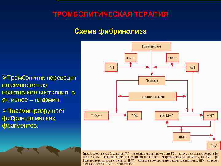 ТРОМБОЛИТИЧЕСКАЯ ТЕРАПИЯ Схема фибринолиза ØТромболитик переводит плазминоген из неактивного состояния в активное – плазмин;