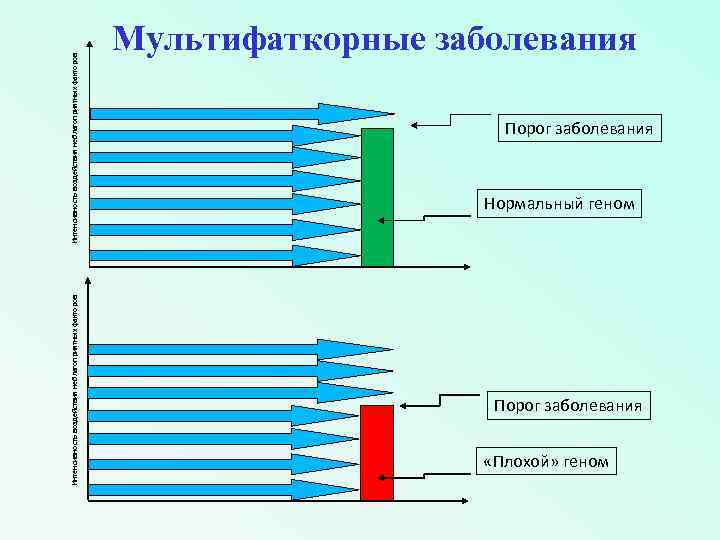 Интенсивность воздействия неблагоприятных факторов Мультифаткорные заболевания Порог заболевания Нормальный геном Порог заболевания «Плохой» геном