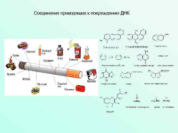 Соединение приводящие к повреждению ДНК 