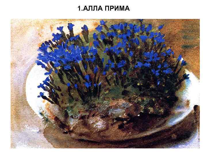 1. АЛЛА ПРИМА 