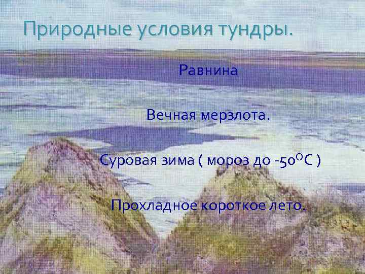 Природные условия тундры. Равнина Вечная мерзлота. Суровая зима ( мороз до -50 ОС )