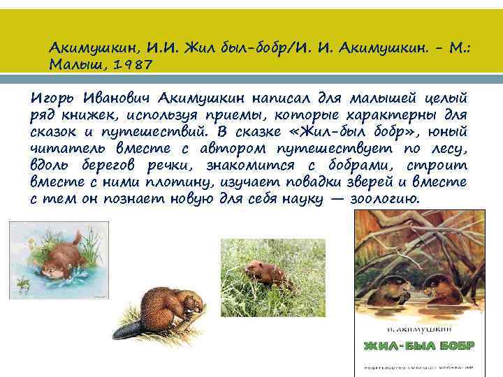 Акимушкин, И. И. Жил был-бобр/И. И. Акимушкин. - М. : Малыш, 1987 Игорь Иванович