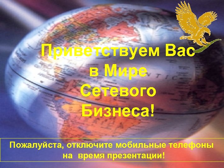 Приветствуем Вас в Мире Сетевого Бизнеса! Пожалуйста, отключите мобильные телефоны на время презентации! 