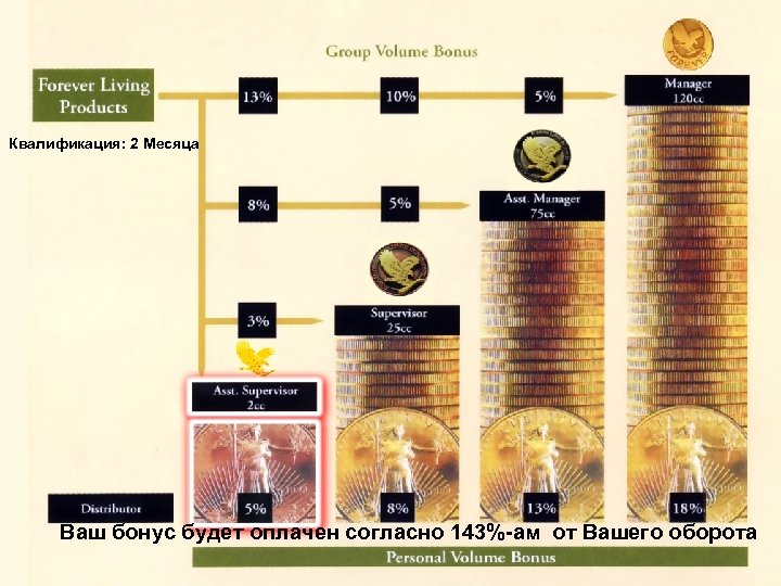 Квалификация: 2 Месяца Ваш бонус будет оплачен согласно 143%-ам от Вашего оборота 