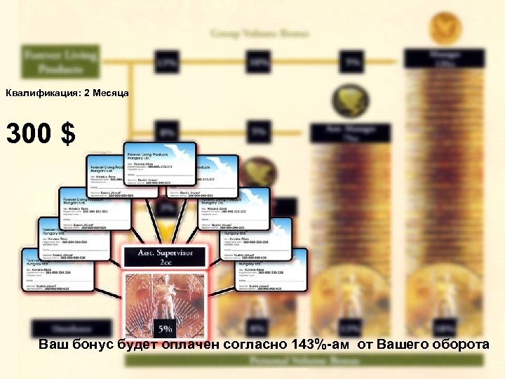 Квалификация: 2 Месяца 300 $ Ваш бонус будет оплачен согласно 143%-ам от Вашего оборота