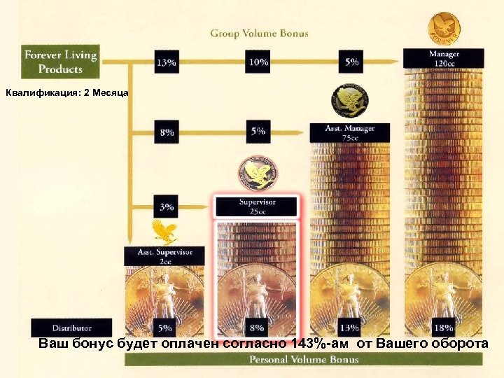 Квалификация: 2 Месяца Ваш бонус будет оплачен согласно 143%-ам от Вашего оборота 