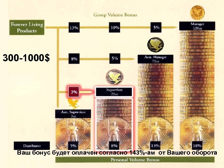 300 -1000$ Ваш бонус будет оплачен согласно 143%-ам от Вашего оборота 