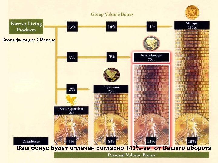 Квалификация: 2 Месяца Ваш бонус будет оплачен согласно 143%-ам от Вашего оборота 