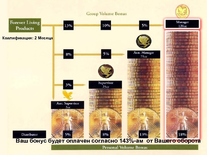 Квалификация: 2 Месяца Ваш бонус будет оплачен согласно 143%-ам от Вашего оборота 