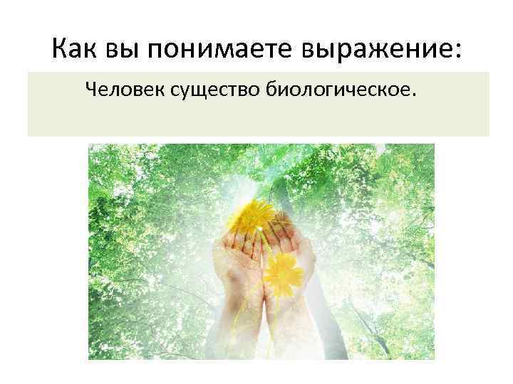 Как вы понимаете выражение: Человек существо биологическое. 