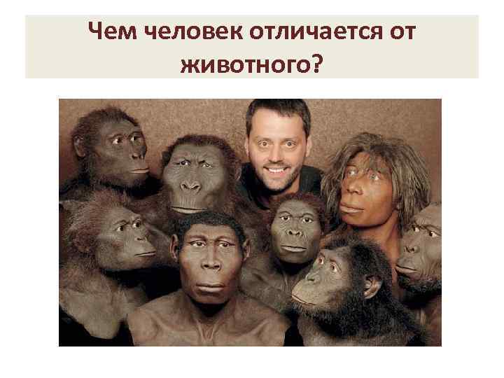 Чем человек отличается от животного? 