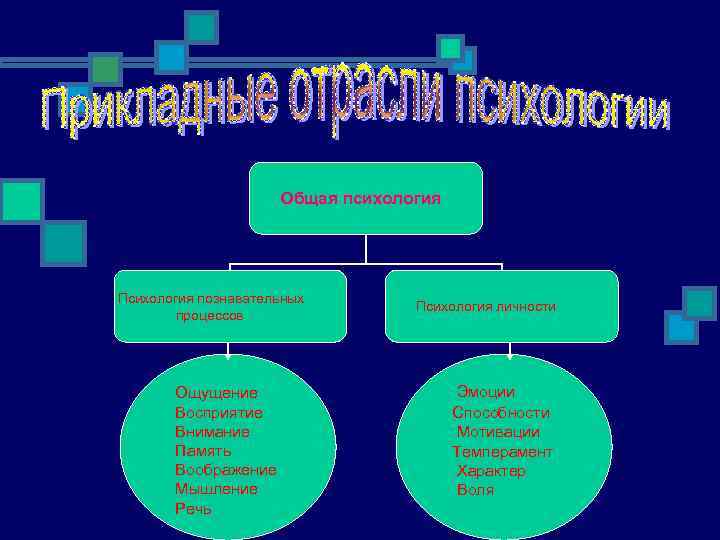 Общая психология Психология познавательных процессов Ощущение Восприятие Внимание Память Воображение Мышление Речь Психология личности