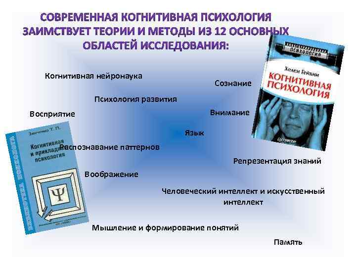 Когнитивная нейронаука Сознание Психология развития Внимание Восприятие Язык Распознавание паттернов Репрезентация знаний Воображение Человеческий