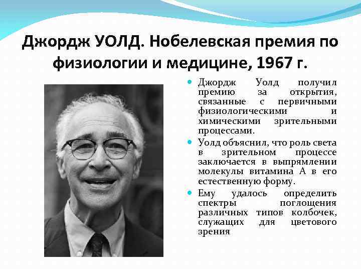 Джордж УОЛД. Нобелевская премия по физиологии и медицине, 1967 г. Джордж Уолд получил премию