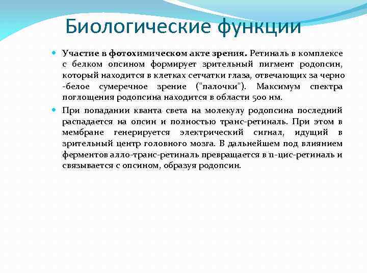 Биологические функции Участие в фотохимическом акте зрения. Ретиналь в комплексе с белком опсином формирует